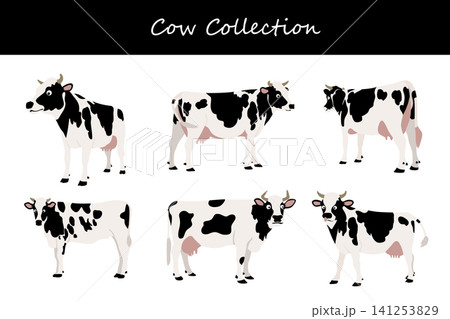 cow collection. cow in different poses cow collection. cow in different poses 141253829