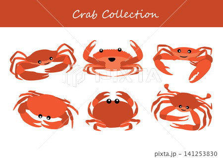 crab collection. crab in different poses crab collection. crab in different poses 141253830