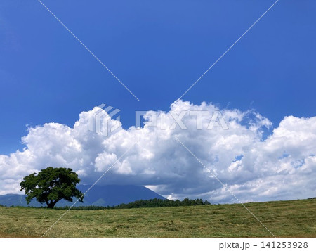 夏の岩手山と一本桜のある風景 夏の岩手山と一本桜のある風景 141253928