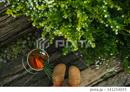 Fresh carrots and herbs placed on wooden flooring Fresh carrots and herbs placed on wooden flooring 141254055