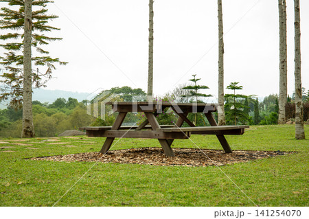 Wooden picnic table set on green grass under tall trees Wooden picnic table set on green grass under tall trees 141254070