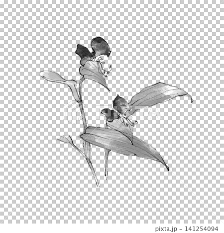 夏の野草 手描き風のツユクサのイラスト 夏の野草 手描き風のツユクサのイラスト 141254094