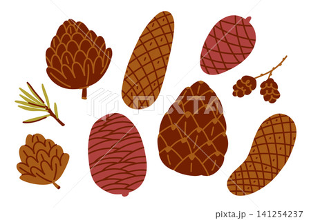 Hand Drawn Pine Cone Collection, Forest Botanical Illustration with Conifer Cones, Evergreen Branches and Woodland Nature Elements Hand Drawn Pine Cone Collection, Forest Botanical Illustration with Conifer Cones, Evergreen Branches and Woodland Nature Elements 141254237