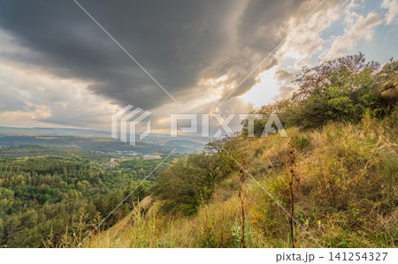 Summer Mountains Landscape with Green forest. 141254327