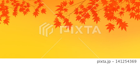 紅葉したモミジの葉の背景素材 141254369