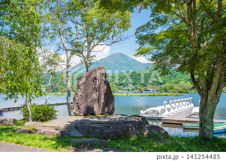 高原リゾート「白樺湖」《長野県》 高原リゾート「白樺湖」《長野県》 141254485