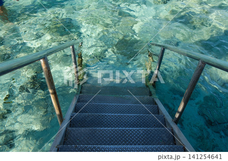 Metal staircase descends into clear turquoise water, revealing coral and rocks below, set in a tropical environment with sunlight reflections Metal staircase descends into clear turquoise water, revealing coral and rocks below, set in a tropical environment with sunlight reflections 141254641