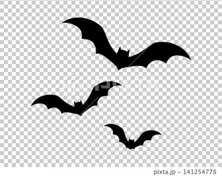 Bat silhouette_vector illustration Bat silhouette_vector illustration 141254778