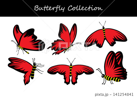 butterfly collection. butterfly in different poses butterfly collection. butterfly in different poses 141254841