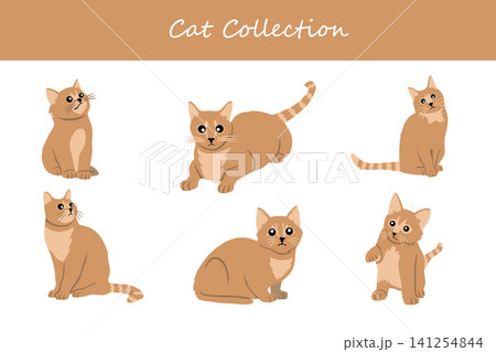 cat collection. cat in different poses cat collection. cat in different poses 141254844