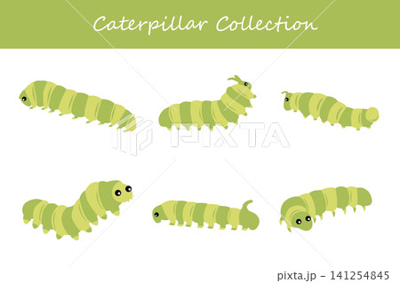 caterpillar collection. caterpillar in different poses caterpillar collection. caterpillar in different poses 141254845