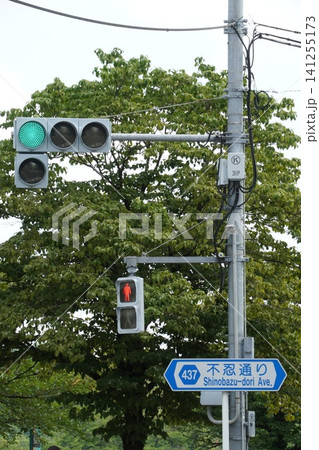 夏の緑と不忍通りの案内標識と青信号（東京・池之端）縦構図 141255173