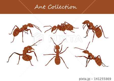 ant collection. ant in different poses 141255869