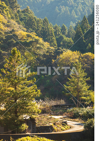 静岡県周智郡森町鍛治島 山里の風景 静岡県周智郡森町鍛治島 山里の風景 141256080