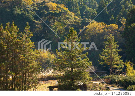 静岡県周智郡森町鍛治島 山里の風景 静岡県周智郡森町鍛治島 山里の風景 141256083