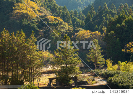 静岡県周智郡森町鍛治島 山里の風景 静岡県周智郡森町鍛治島 山里の風景 141256084