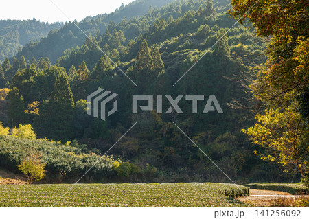 静岡県周智郡森町鍛治島 山里の風景 静岡県周智郡森町鍛治島 山里の風景 141256092