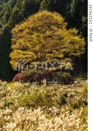 静岡県周智郡森町問詰 山里の風景 静岡県周智郡森町問詰 山里の風景 141256142
