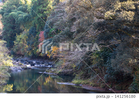 静岡県周智郡森町鍛治島 山里の風景 静岡県周智郡森町鍛治島 山里の風景 141256180