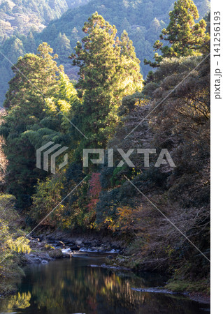 静岡県周智郡森町鍛治島 山里の風景 静岡県周智郡森町鍛治島 山里の風景 141256193