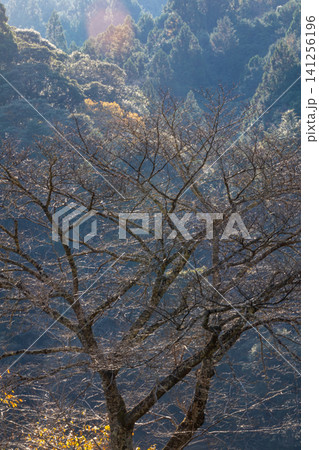 静岡県周智郡森町鍛治島 山里の風景 静岡県周智郡森町鍛治島 山里の風景 141256196