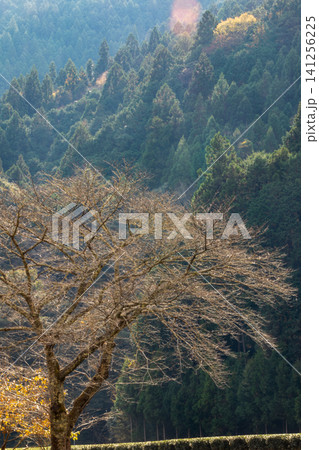 静岡県周智郡森町鍛治島 山里の風景 静岡県周智郡森町鍛治島 山里の風景 141256225