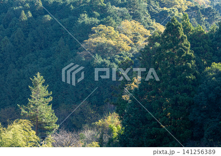 静岡県周智郡森町鍛治島 山里の風景 静岡県周智郡森町鍛治島 山里の風景 141256389