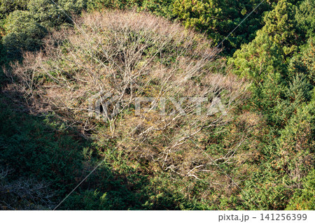 静岡県周智郡森町鍛治島 山里の風景 静岡県周智郡森町鍛治島 山里の風景 141256399