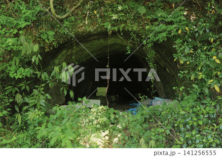 第146震洋隊基地跡に残る特攻艇震洋の格納庫跡（宮城県東松島市・旧鮫ヶ浦漁港） 141256555