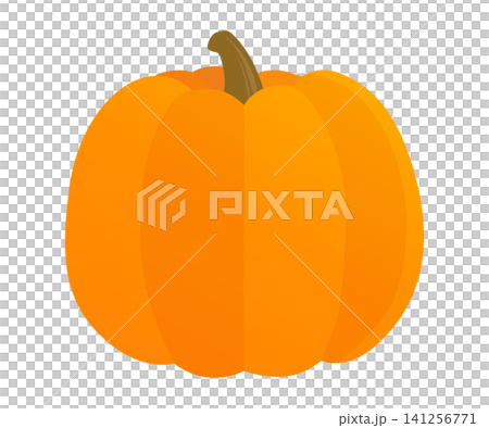 Orange pumpkin_vector illustration Orange pumpkin_vector illustration 141256771