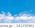 青空のカーペット 141256962