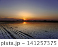 夕日に照らされる水田 141257375
