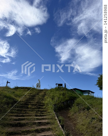 陣馬山山頂へ続く登山道と青空 陣馬山山頂へ続く登山道と青空 141258988