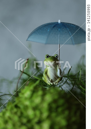 梅雨のイメージのかえる 梅雨のイメージのかえる 141258993