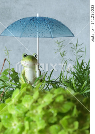 梅雨のイメージのかえる 141259032