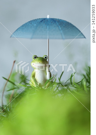 梅雨のイメージのかえる 141259033