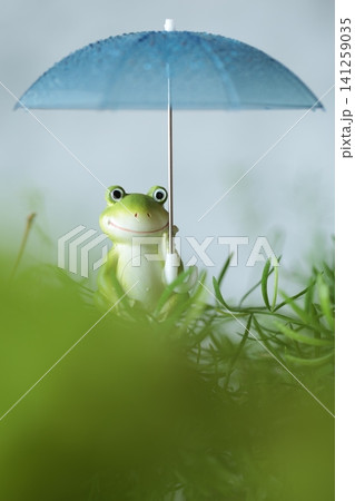 梅雨のイメージのかえる 梅雨のイメージのかえる 141259035