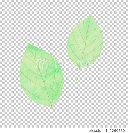 Watercolor-style illustration of green leaves Watercolor-style illustration of green leaves 141260280