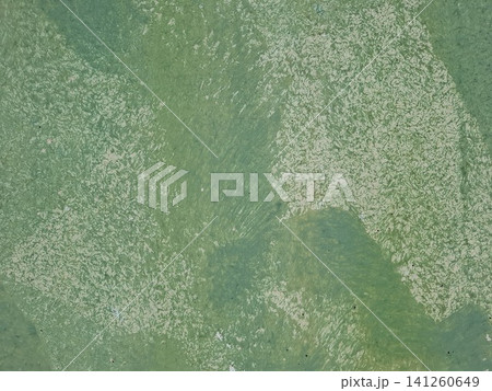 This scene features a weathered green painted surface with clear brushstrokes and a distressed finish. The texture represents age and wear in a simple way. This scene features a weathered green painted surface with clear brushstrokes and a distressed finish. The texture represents age and wear in a simple way. 141260649