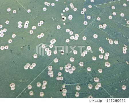 The scene shows a green metal target sheet showing many bullet entry holes. This represents shooting practice that takes place in a military training area. The scene shows a green metal target sheet showing many bullet entry holes. This represents shooting practice that takes place in a military training area. 141260651