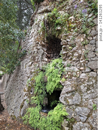 A stone grotto stands at the Borja sanatorium grounds, covered in green ferns and moss. Water flows gently from the rocks, creating a natural scene. A stone grotto stands at the Borja sanatorium grounds, covered in green ferns and moss. Water flows gently from the rocks, creating a natural scene. 141261295