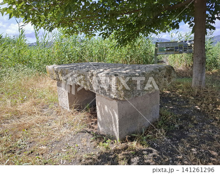 A rustic stone bench stands under a green tree in Pego Oliva's ecological reserve. It is near rice fields and an educational tourist sign. People can take a break here. A rustic stone bench stands under a green tree in Pego Oliva's ecological reserve. It is near rice fields and an educational tourist sign. People can take a break here. 141261296