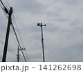 曇り空と防災無線のスピーカー 141262698