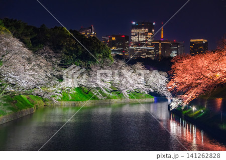 東京都千代田区 お堀を彩る満開の夜桜とビル群の夜景が美しい春の千鳥ヶ淵 東京都千代田区 お堀を彩る満開の夜桜とビル群の夜景が美しい春の千鳥ヶ淵 141262828