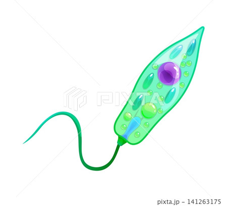 Bacteria bacillus or ameba germ microorganism icon of microbe bacterium or pathogen parasite. Green amoeba cell of protozoa or protista microbiome of microscopic microbiota or bacteria micro organism Bacteria bacillus or ameba germ microorganism icon of microbe bacterium or pathogen parasite. Green amoeba cell of protozoa or protista microbiome of microscopic microbiota or bacteria micro organism 141263175