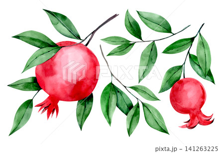 Set of pomegranate fruits and leaves. Watercolor illustration. Set of pomegranate fruits and leaves. Watercolor illustration. 141263225