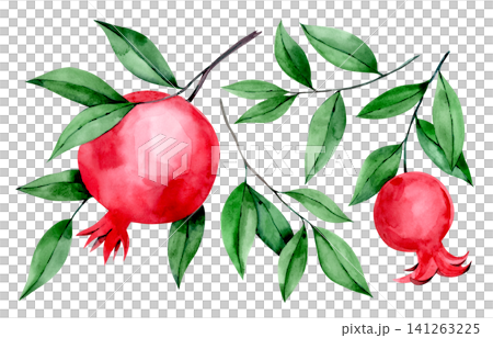 Set of pomegranate fruits and leaves. Watercolor illustration. Set of pomegranate fruits and leaves. Watercolor illustration. 141263225