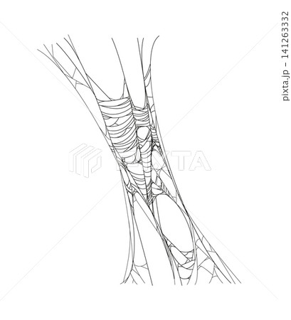 Halloween cartoon tangled cobweb or spider web thread. Halloween celebration spooky cobweb decoration, fall season party tangled spider web vector decor element. Horror scary sticky trap thread 141263332