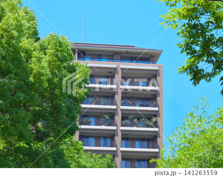緑豊かな広尾の高級マンション 都市景観(2026年5月) 緑豊かな広尾の高級マンション 都市景観(2026年5月) 141263559
