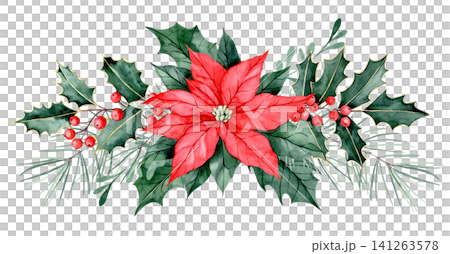 Christmas decoration, a composition of a poinsettia flower, holly leaves, and spruce branches. watercolor illustration. Christmas decoration, a composition of a poinsettia flower, holly leaves, and spruce branches. watercolor illustration. 141263578